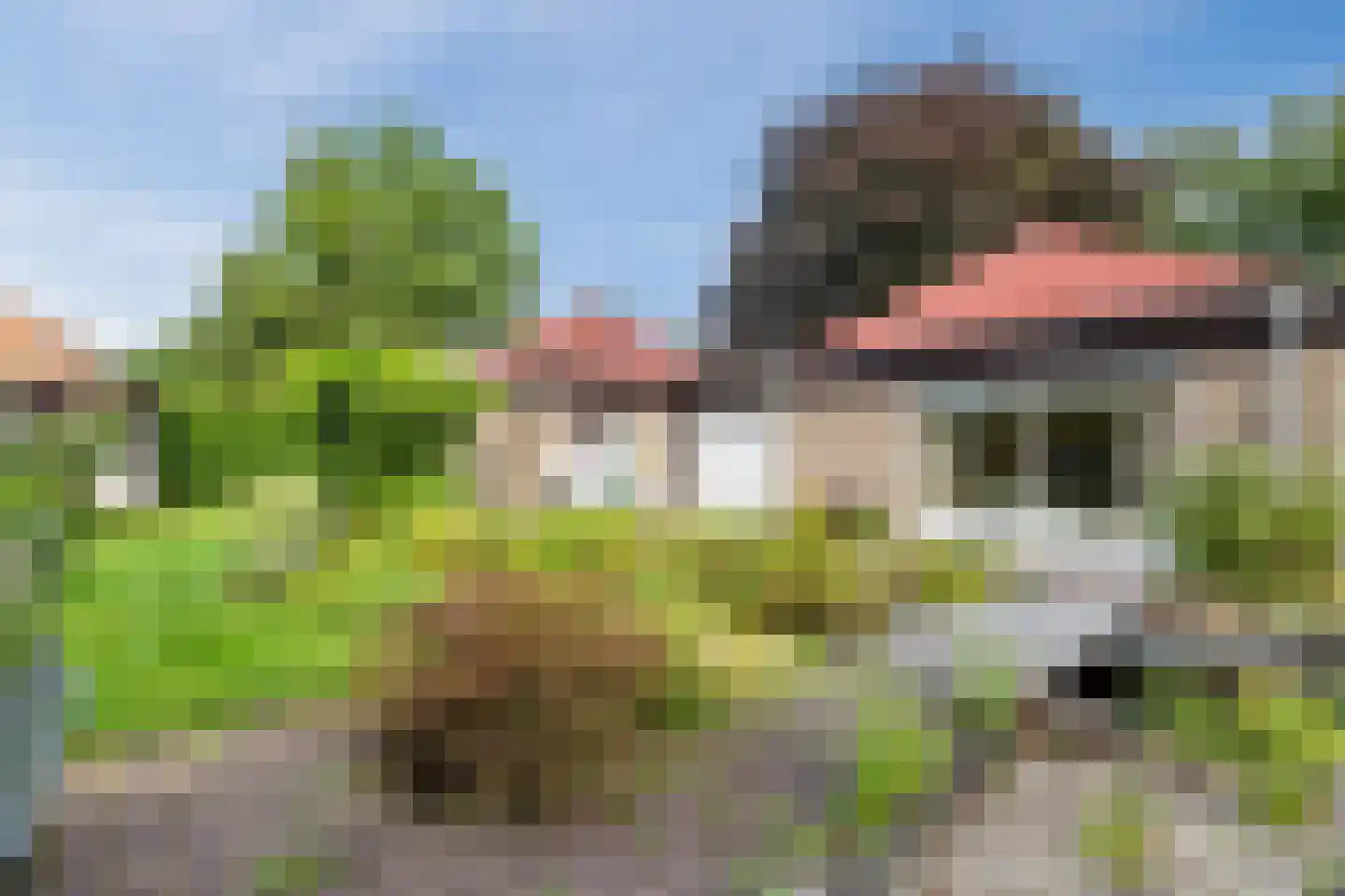 Hunzedal 24 Borger thumbnail 43