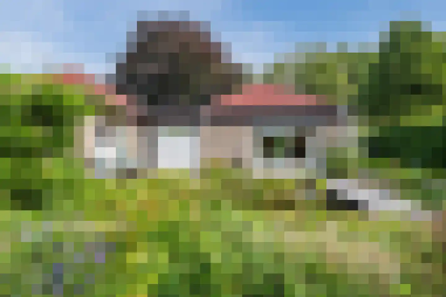 Hunzedal 24 Borger thumbnail 44
