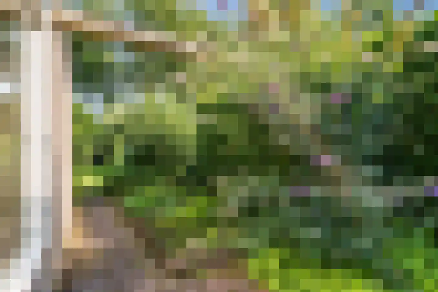 Hunzedal 24 Borger thumbnail 46