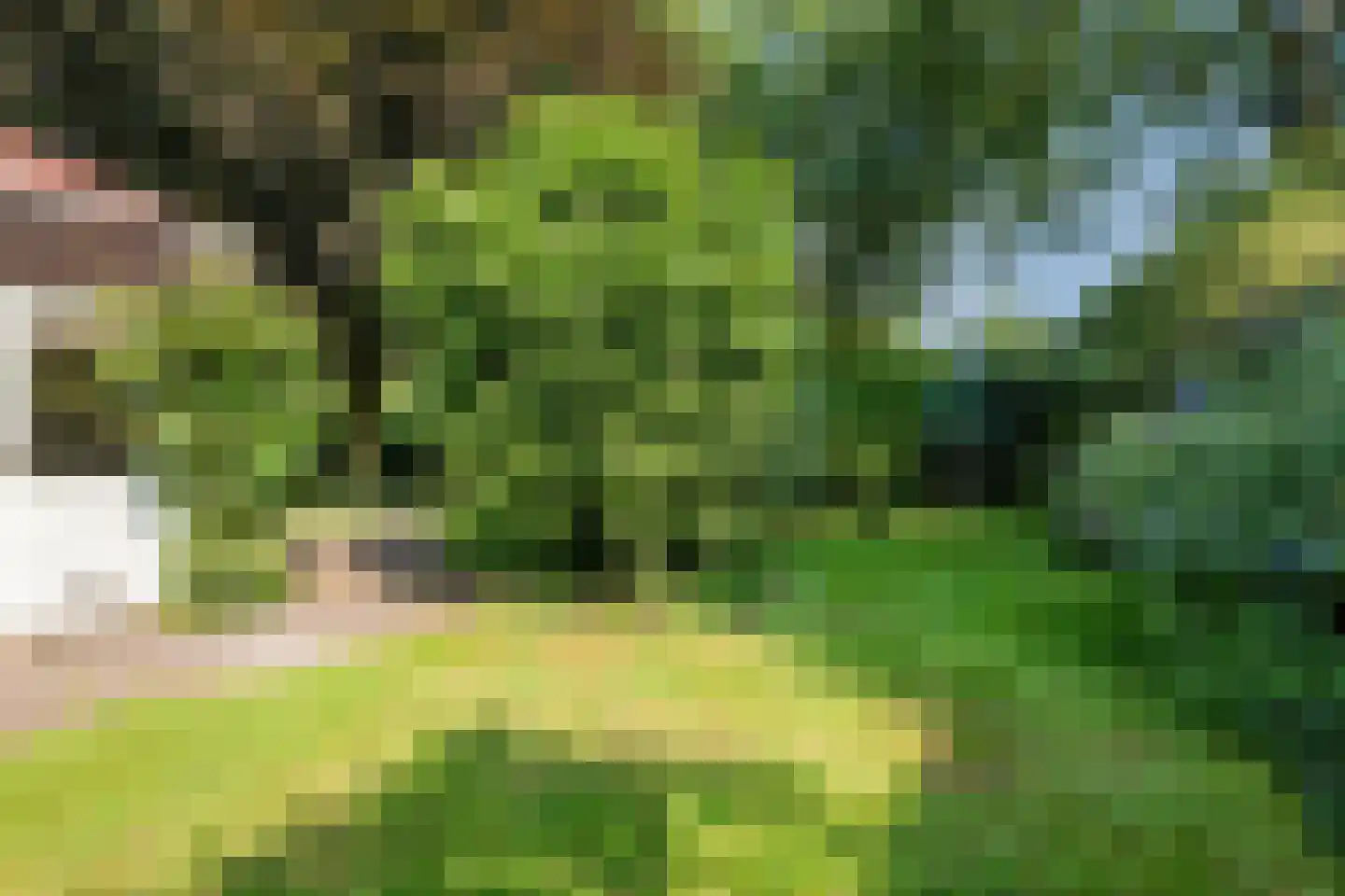 Hunzedal 24 Borger thumbnail 47