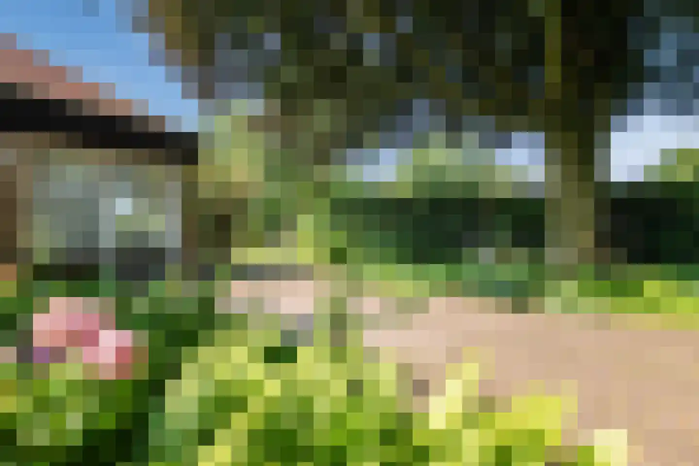 Hunzedal 24 Borger thumbnail 5