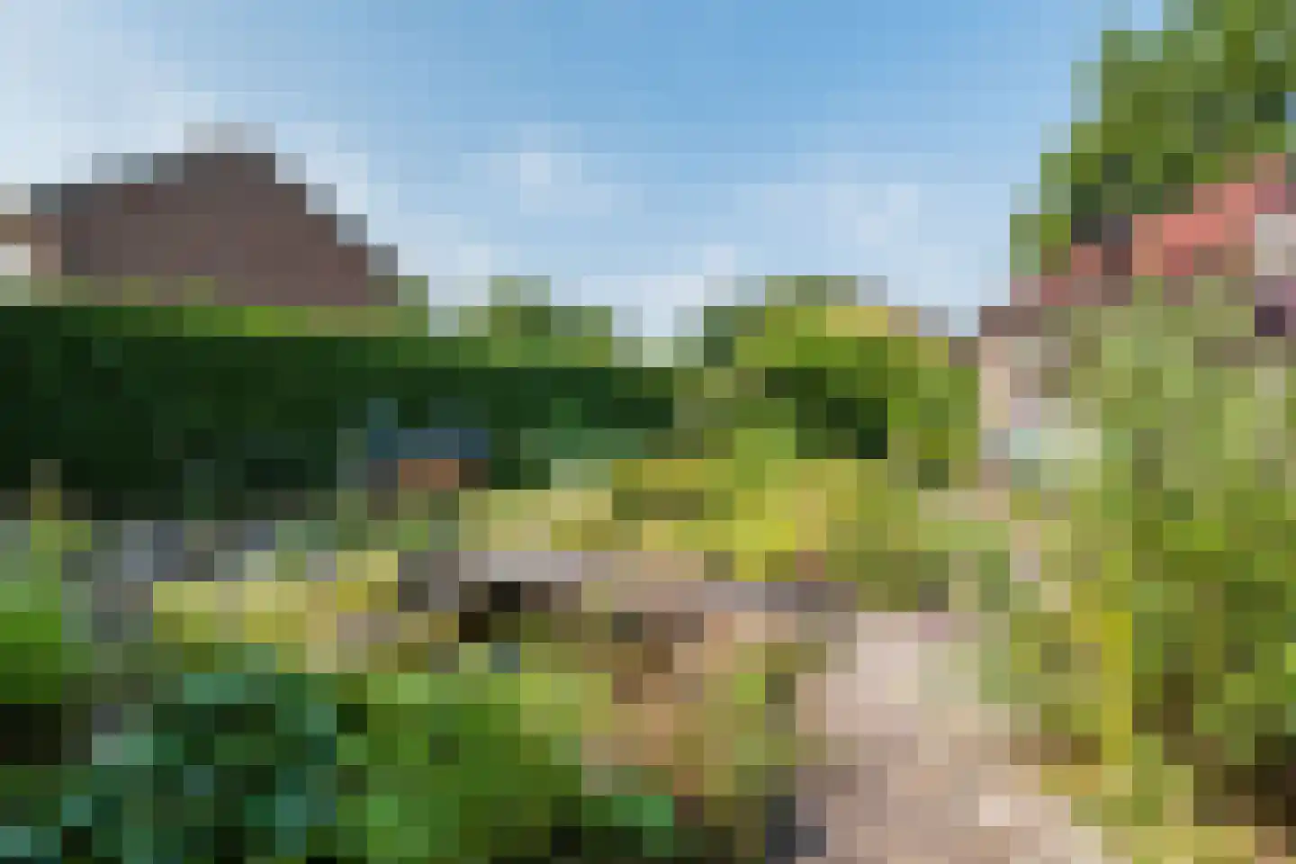 Hunzedal 24 Borger thumbnail 50