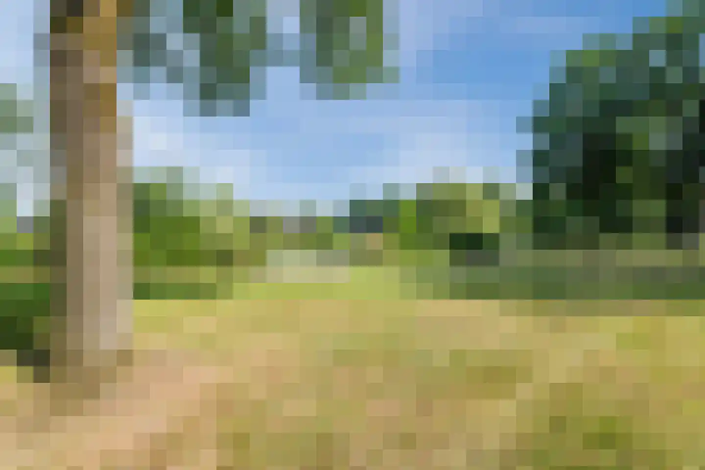 Hunzedal 24 Borger thumbnail 51