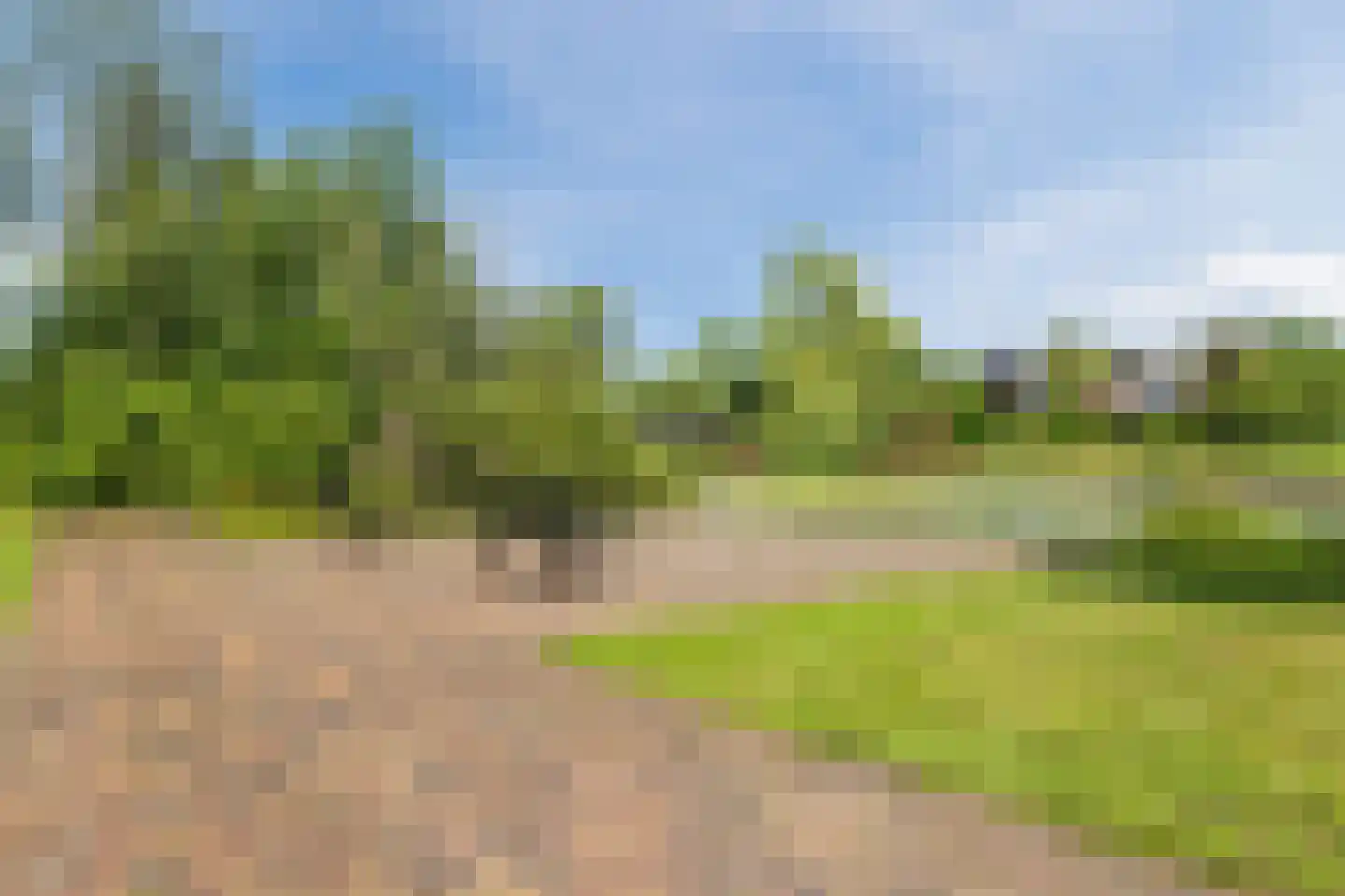 Hunzedal 24 Borger thumbnail 53