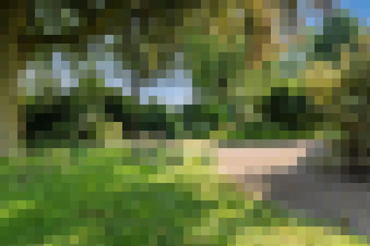 Hunzedal 24 Borger thumbnail 6