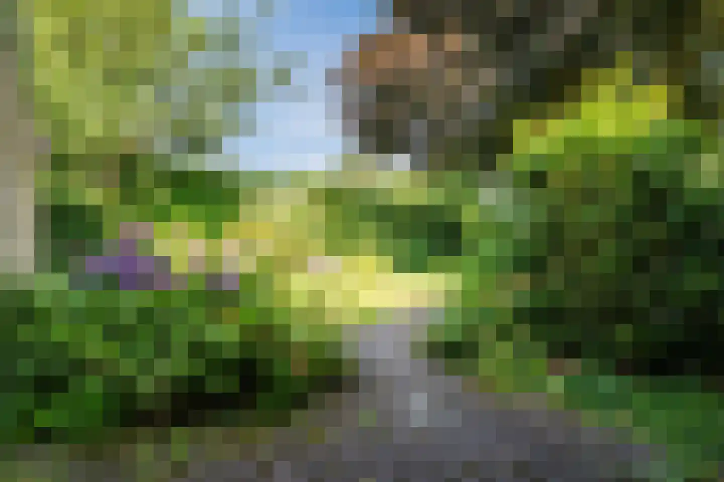 Hunzedal 24 Borger thumbnail 7