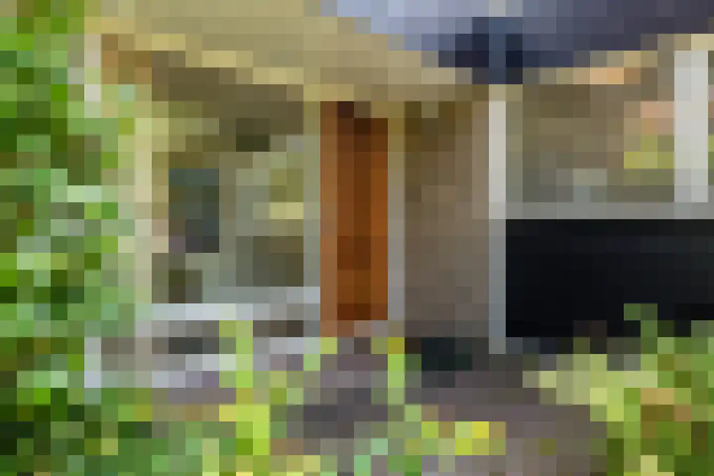 Hunzedal 24 Borger thumbnail 8
