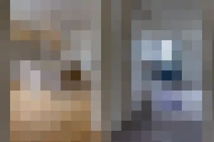 Hunzedal 40 A Borger thumbnail 10