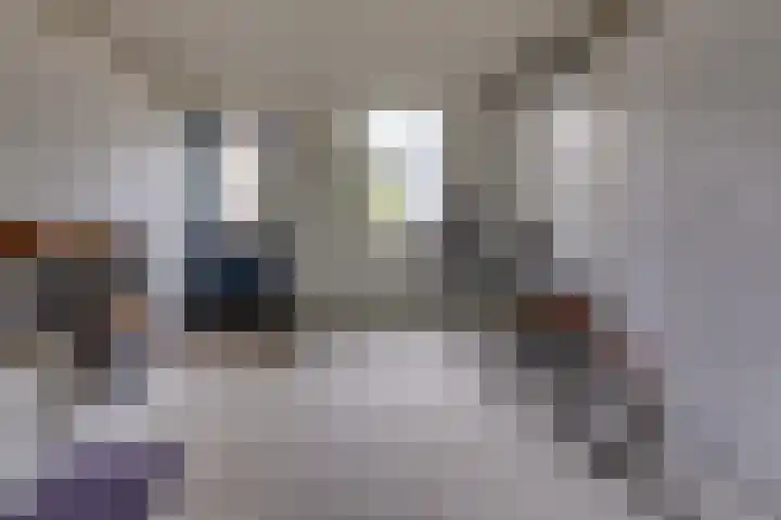 Hunzedal 40 A Borger thumbnail 11
