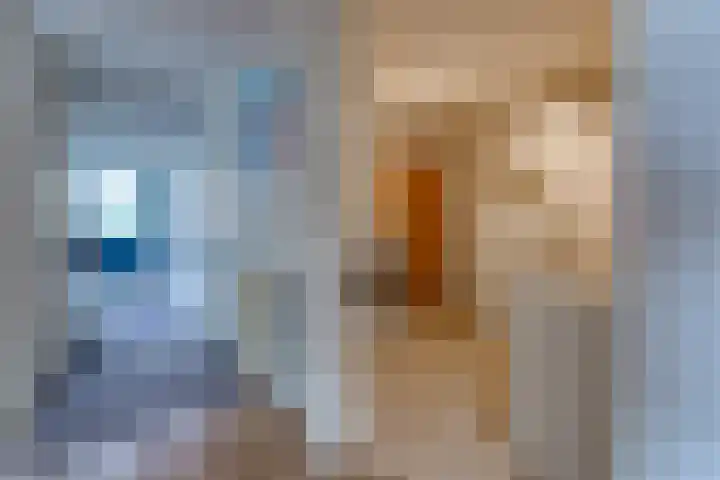 Hunzedal 40 A Borger thumbnail 12