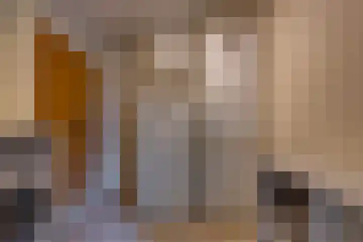 Hunzedal 40 A Borger thumbnail 13