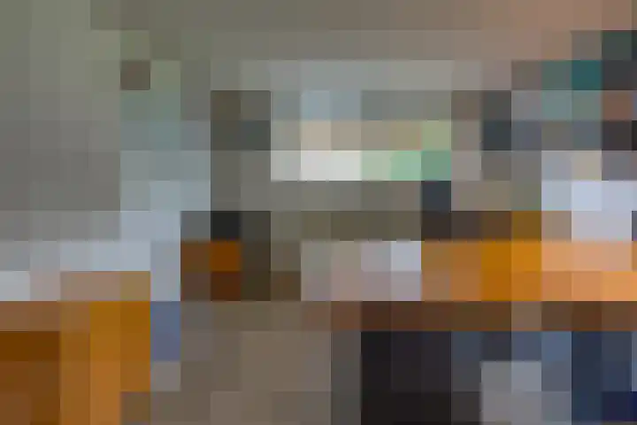 Hunzedal 40 A Borger thumbnail 14