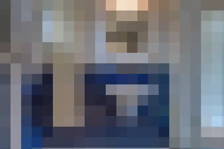 Hunzedal 40 A Borger thumbnail 18