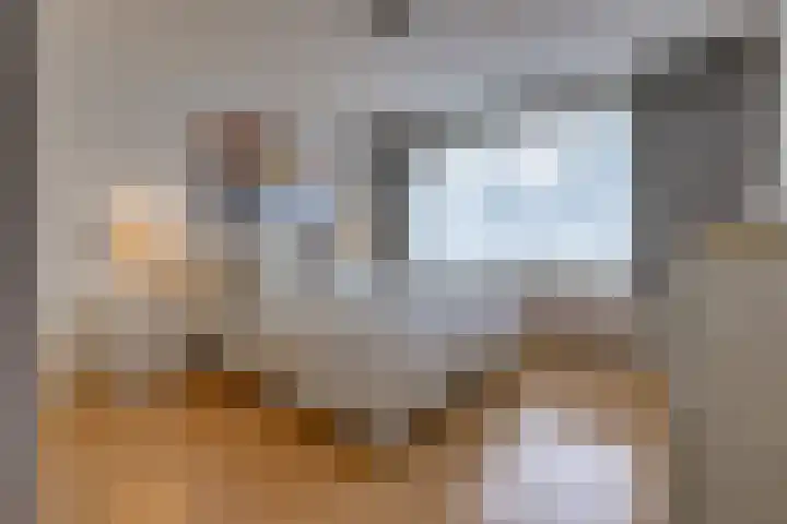 Hunzedal 40 A Borger thumbnail 20