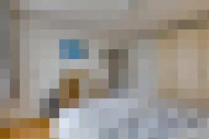 Hunzedal 40 A Borger thumbnail 21
