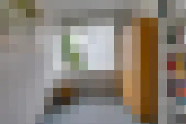 Hunzedal 40 A Borger thumbnail 22