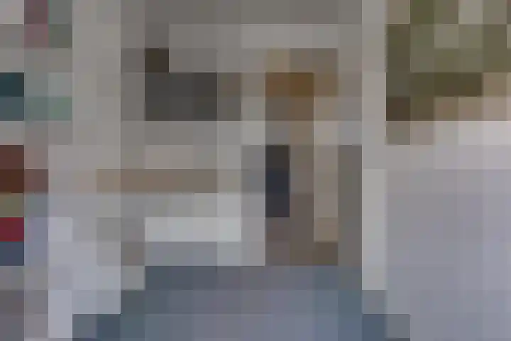 Hunzedal 40 A Borger thumbnail 23