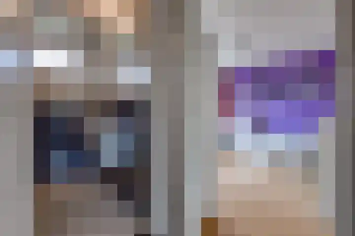 Hunzedal 40 A Borger thumbnail 24