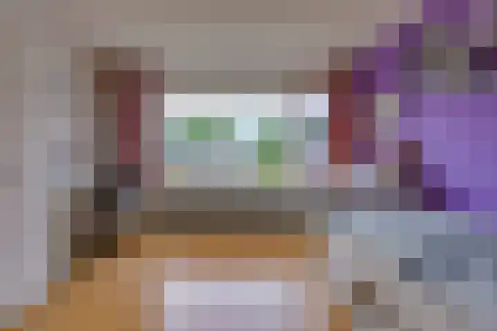 Hunzedal 40 A Borger thumbnail 25