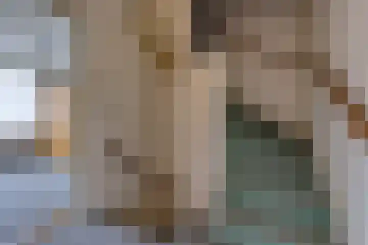 Hunzedal 40 A Borger thumbnail 27