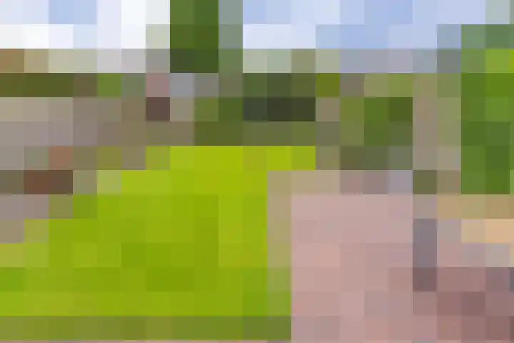 Hunzedal 40 A Borger thumbnail 30