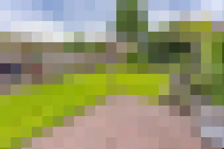 Hunzedal 40 A Borger thumbnail 31