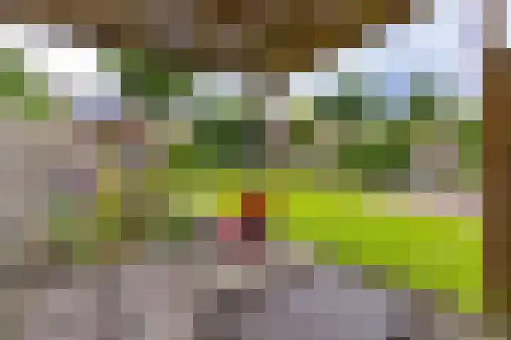 Hunzedal 40 A Borger thumbnail 33