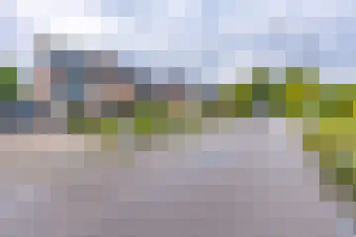 Hunzedal 40 A Borger thumbnail 34