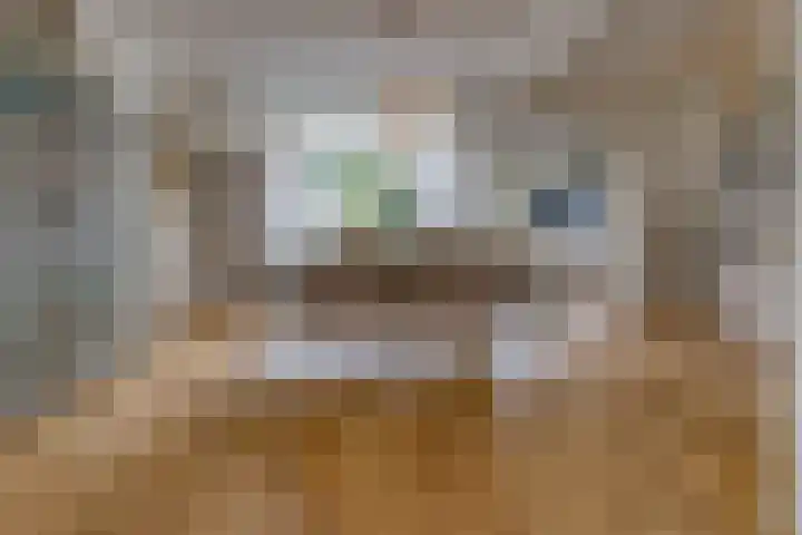 Hunzedal 40 A Borger thumbnail 4