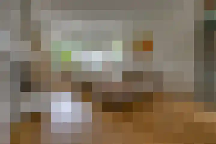 Hunzedal 40 A Borger thumbnail 5