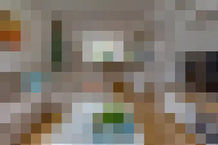Hunzedal 40 A Borger thumbnail 6