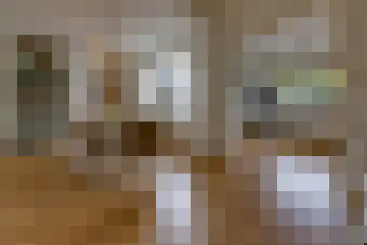 Hunzedal 40 A Borger thumbnail 7