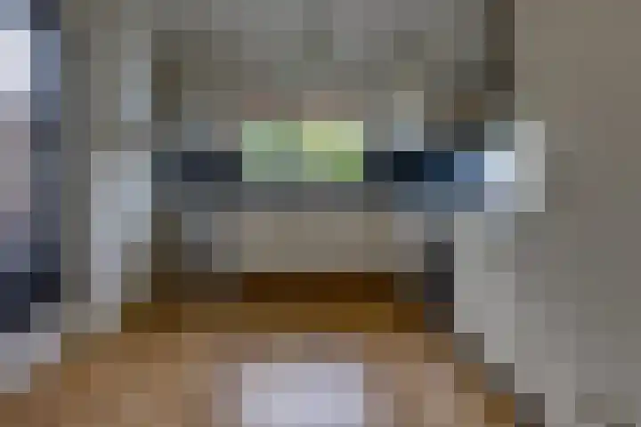 Hunzedal 40 A Borger thumbnail 8
