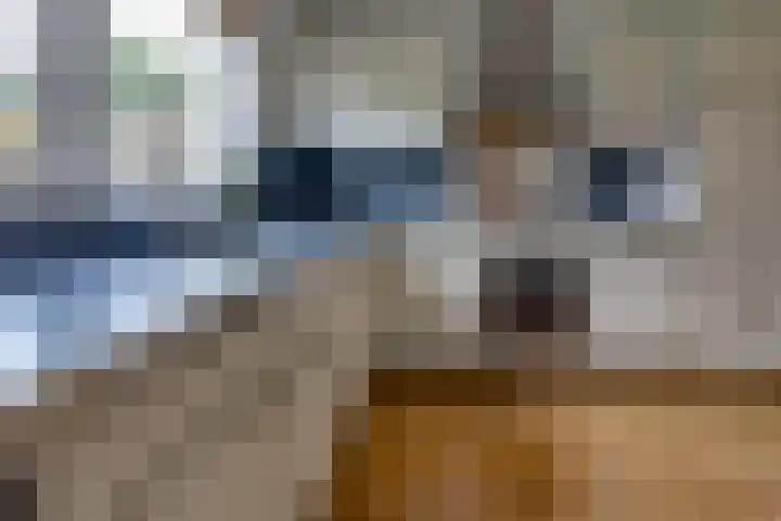 Hunzedal 40 A Borger thumbnail 9
