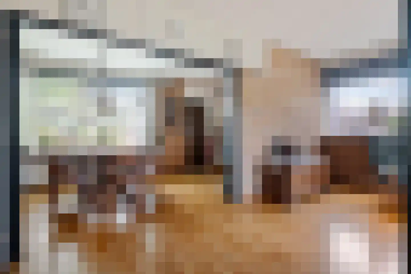 Hunzedal 49 Borger thumbnail 13