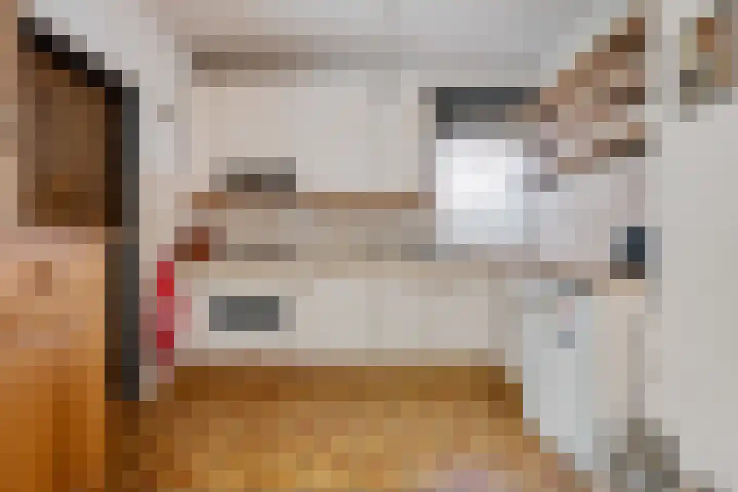 Hunzedal 49 Borger thumbnail 15