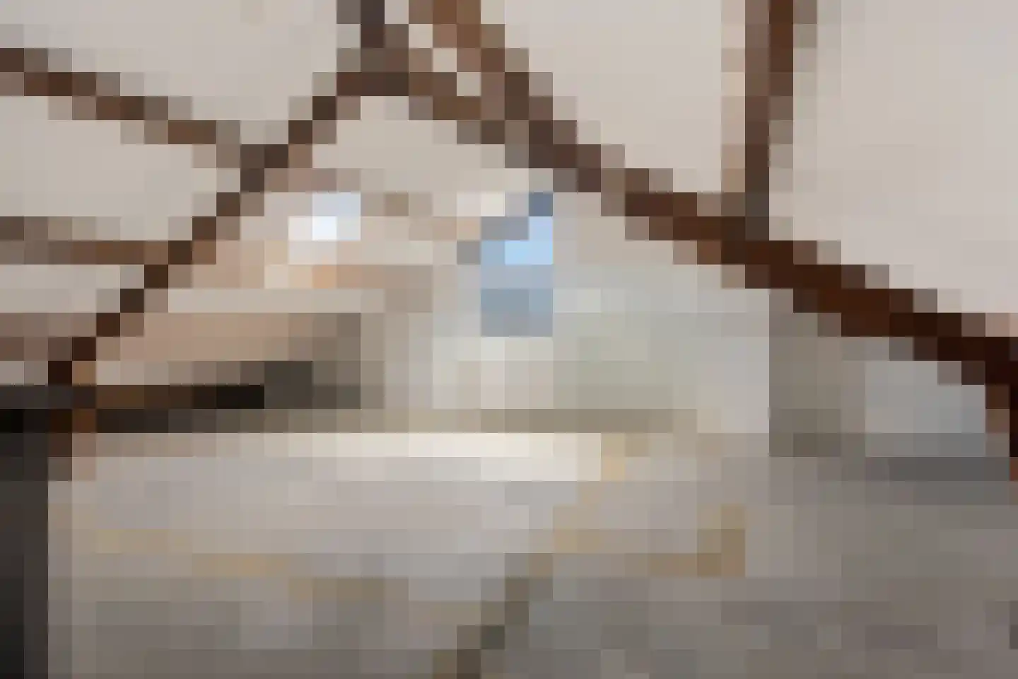 Hunzedal 49 Borger thumbnail 27