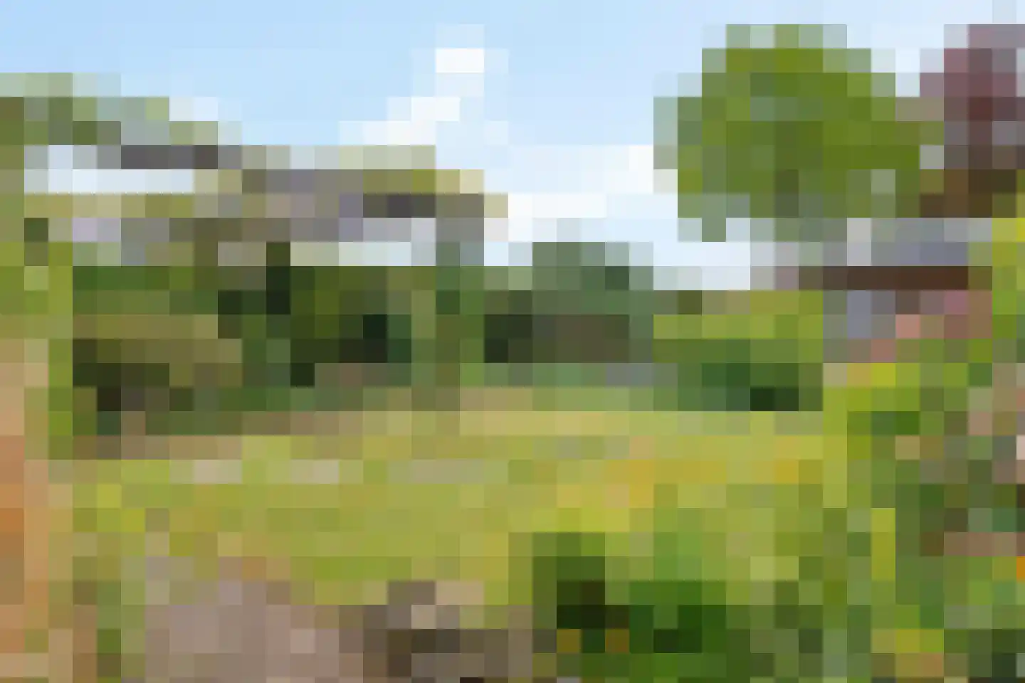Hunzedal 49 Borger thumbnail 31