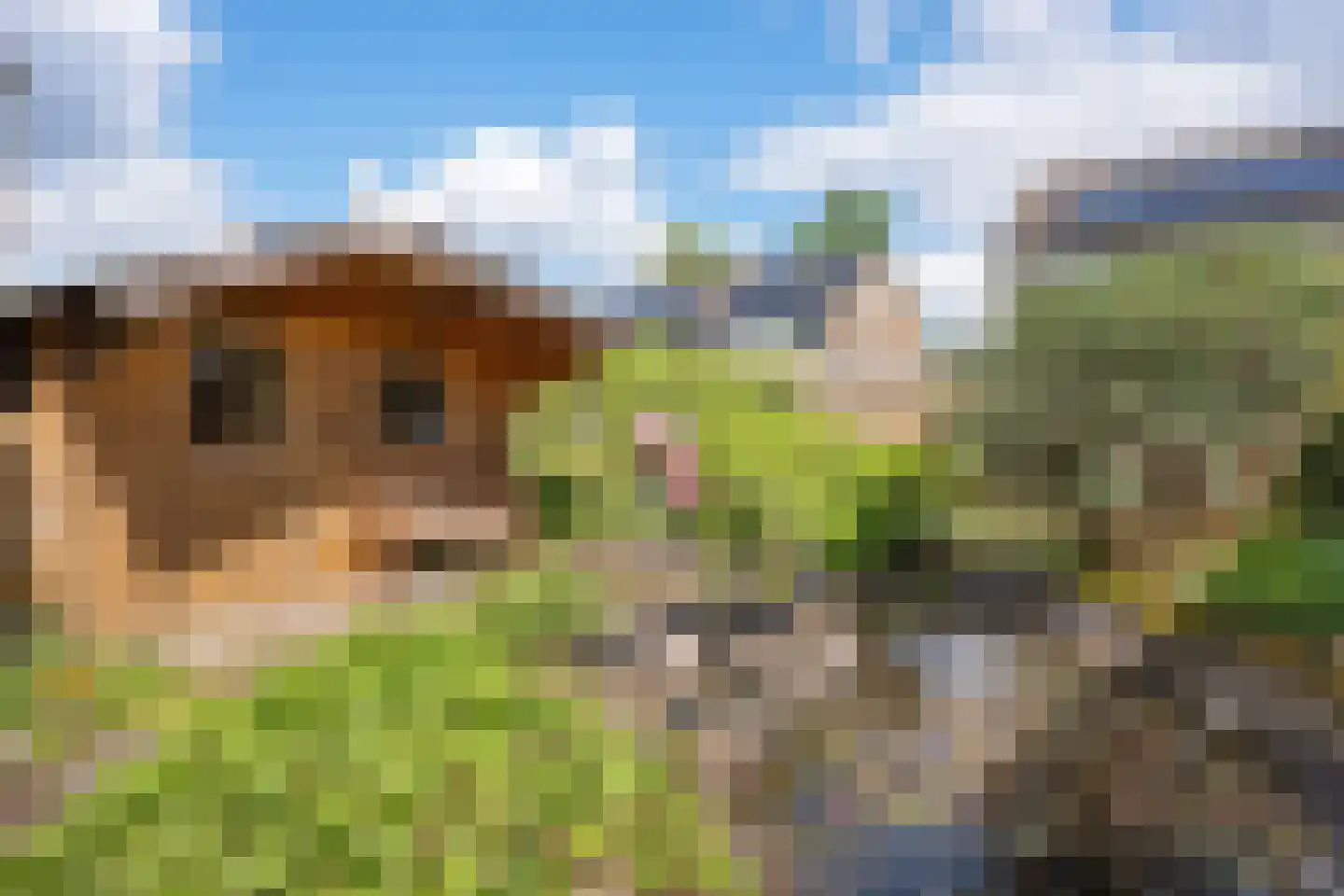 Hunzedal 49 Borger thumbnail 33