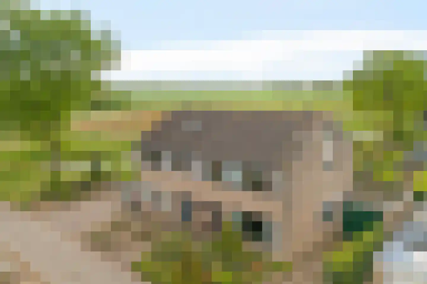 Hunzedal 49 Borger thumbnail 4