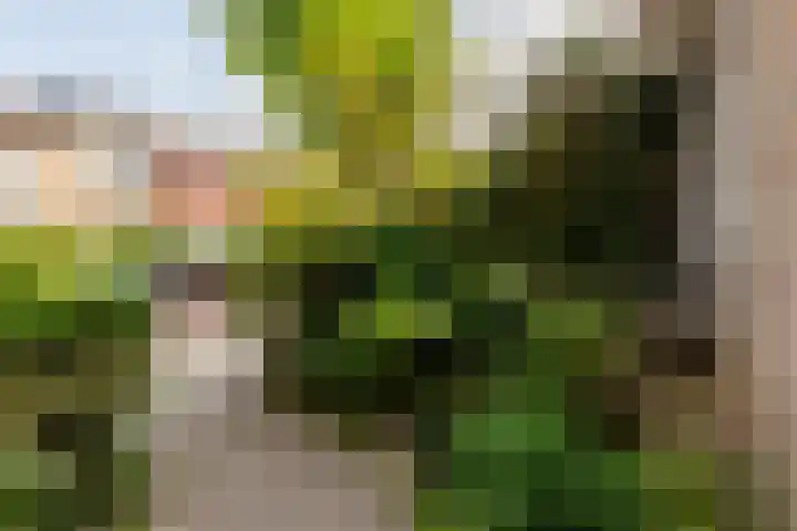 Hunzelaan 13 Heemstede thumbnail 17