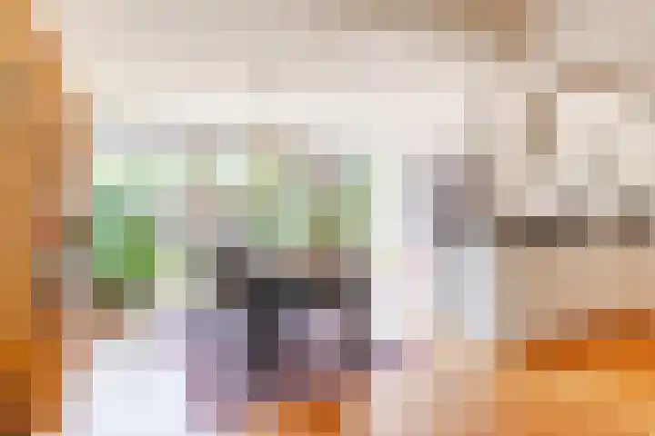 Hunzelaan 13 Heemstede thumbnail 4