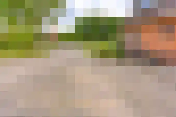 Hunzelaan 8 Gasselternijveen thumbnail 12
