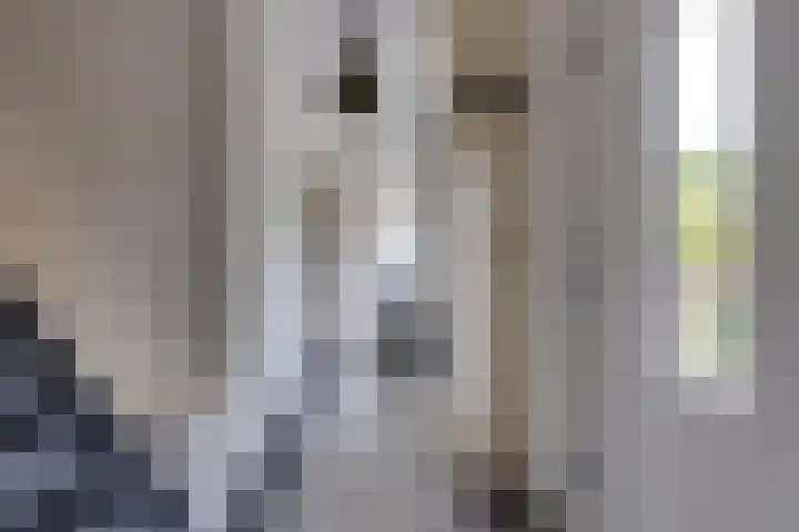 Hunzelaan 8 Gasselternijveen thumbnail 13