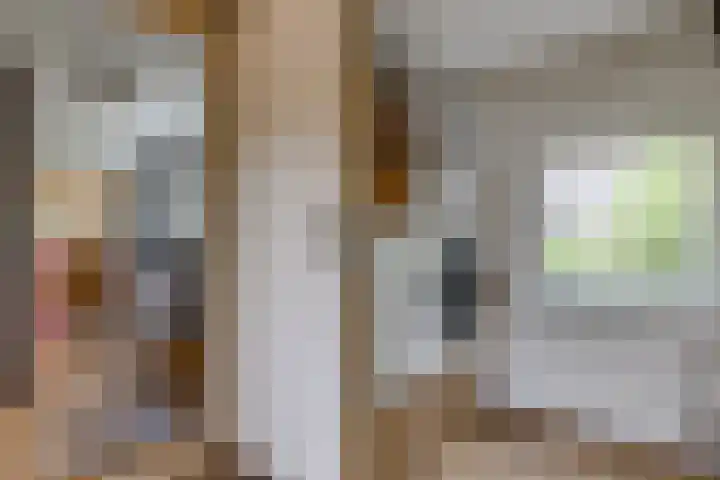 Hunzelaan 8 Gasselternijveen thumbnail 22