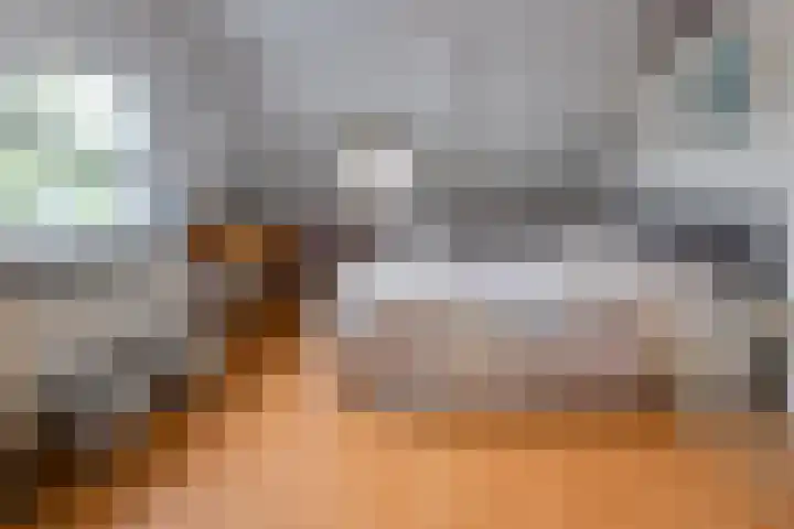Hunzelaan 8 Gasselternijveen thumbnail 29
