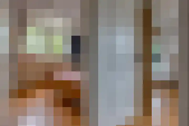 Hunzelaan 8 Gasselternijveen thumbnail 32