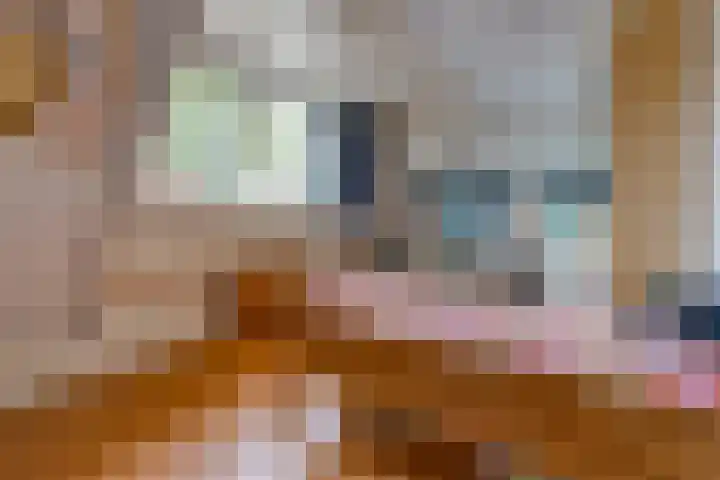 Hunzelaan 8 Gasselternijveen thumbnail 33