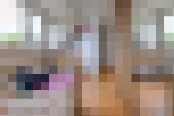 Hunzelaan 8 Gasselternijveen thumbnail 36