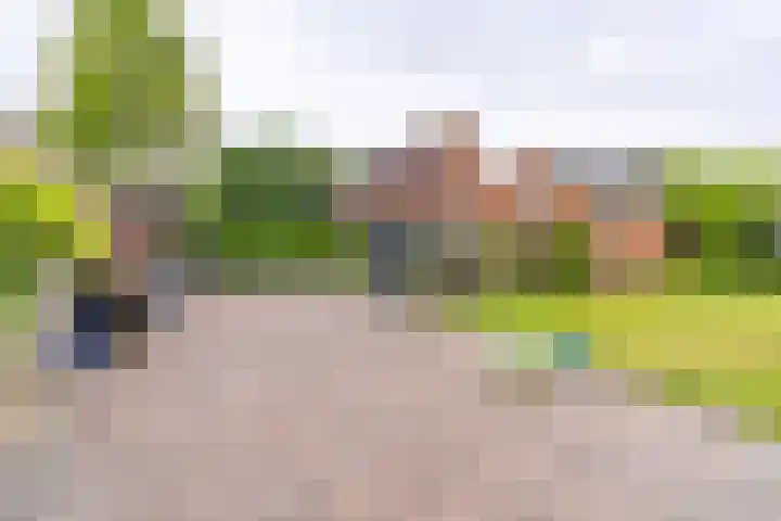 Hunzelaan 8 Gasselternijveen thumbnail 42